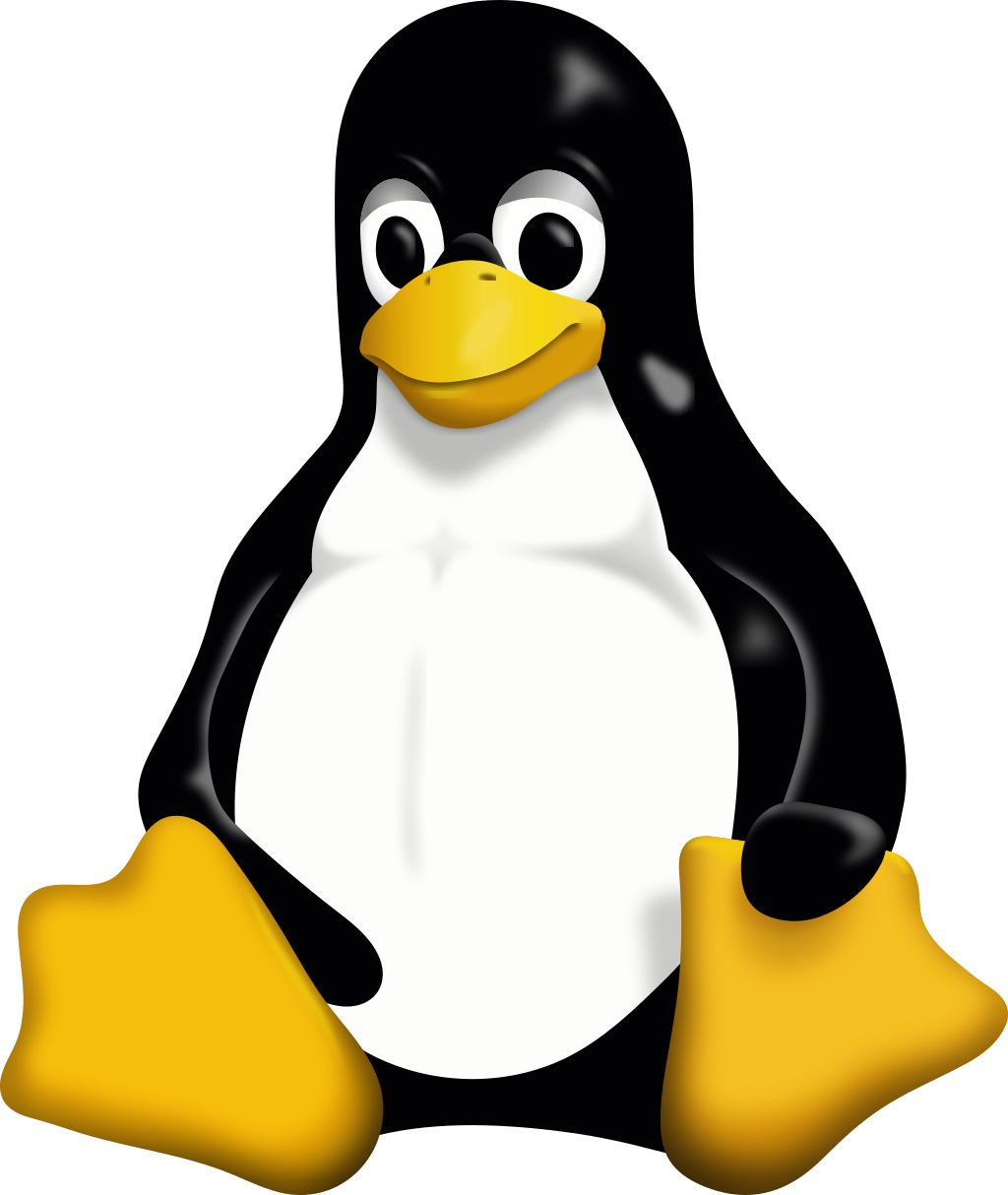 P9 Fileserver for WSL